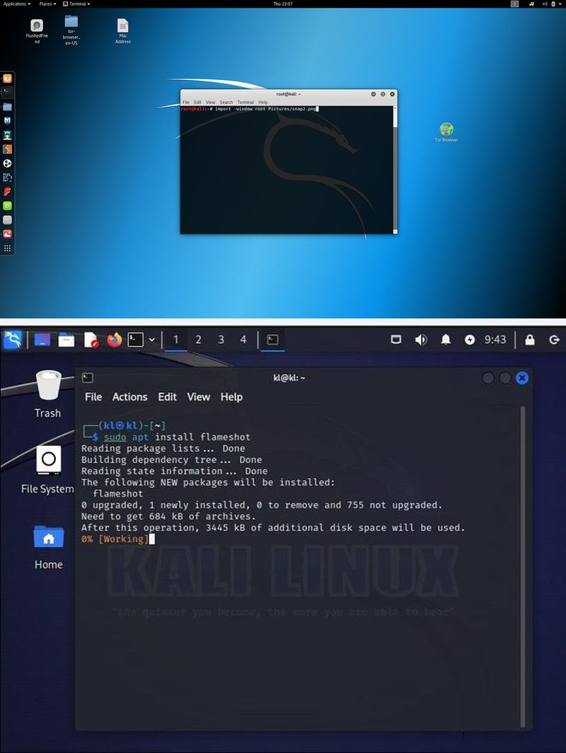 Ambiente real do Kali Linux usado em testes de segurança